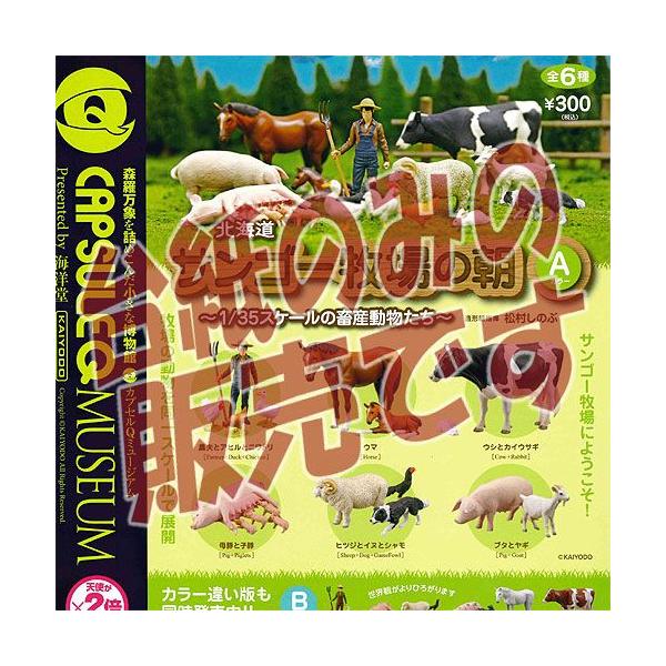 y񔄕ifBXvC䎆zJvZQ~[WA kCTS[q̒-1/35XP[̒{Y- AJ[ Cm K`|