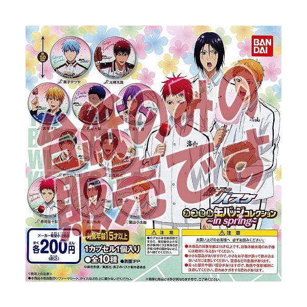 y񔄕ifBXvC䎆zq̃oXP JvZʃobWRNV-in spring- o_C K`|