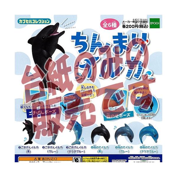 y񔄕ifBXvC䎆z܂CJ G|bN K`|