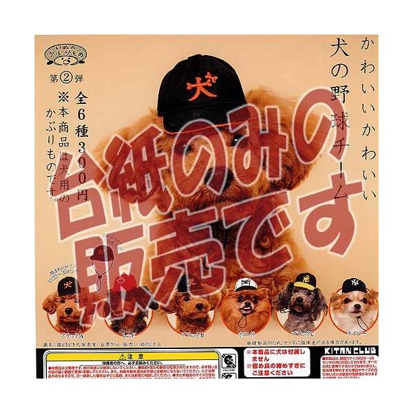 y񔄕ifBXvC䎆zʂ̂Ԃ 2e 킢킢 ̖싅`[ 权Nu K`| K`K` KV|