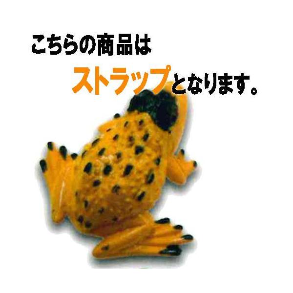 ^ Ґ ԃJG 21FJGXgbvC r[ K`|