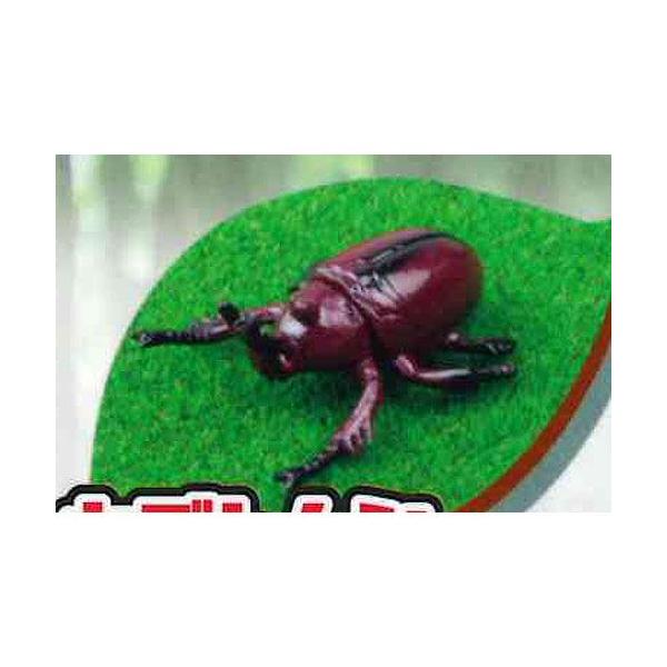 HG ����(Stag Beetle &amp; Beetle) 2�F�J�u�g���V_�u���E�� �r�[�� �K�`���|��