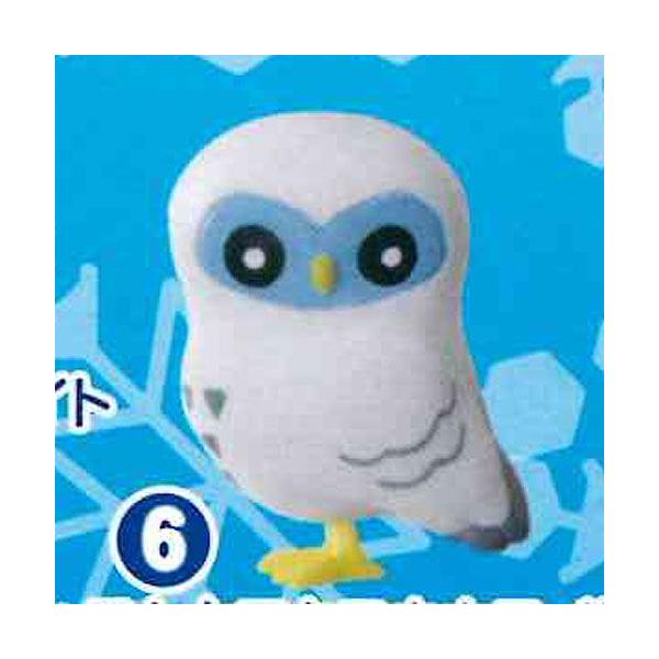 傱ƃtNE 6F傱ƃtNEzCg(tBMA) G|bN K`|