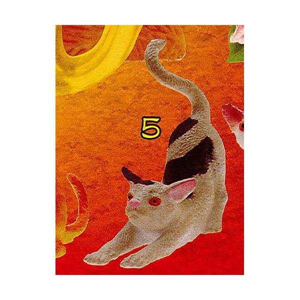 IL(̉L) 5FL5 权Nu K`|