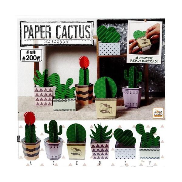 PAPER CACTUSyy[p[JN^Xz S6Zbg ACs[tH[ K`|