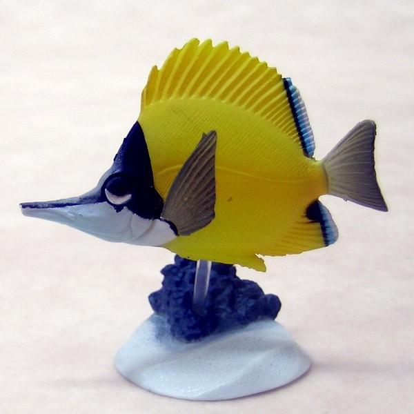 フエヤッコダイ 原色海水魚図鑑i チョコエッグ系フィギュア ユージン Yujin ガチャポンガシャポンカプセルコレクション Gt06 遊you 通販 Yahoo ショッピング