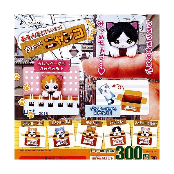  قj ܂ăjR S5Zbg J.DREAM K`|