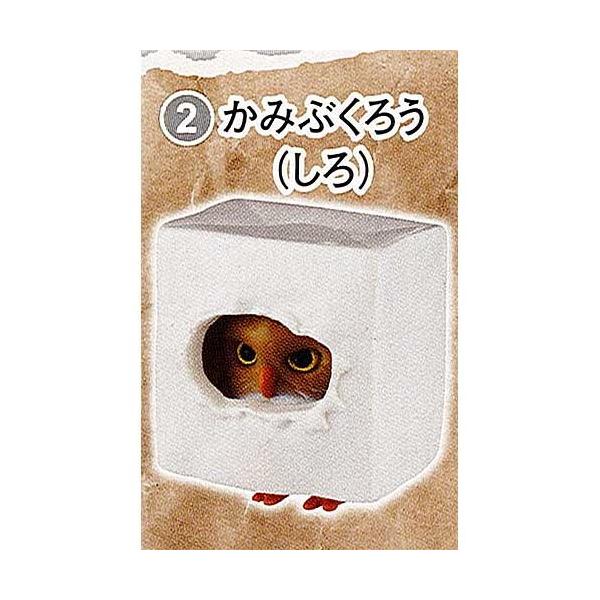 Ԃ낤 2F݂Ԃ낤() tBMA G|bN K`| K`K` KV|