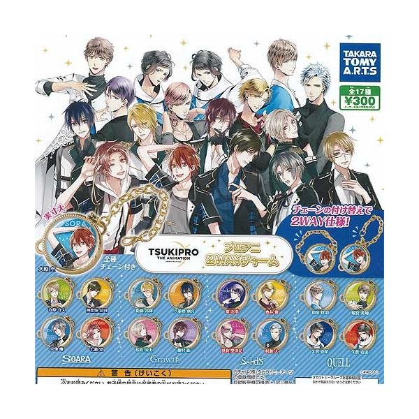 プロアニ 2WAYチャーム 全17種セット タカラトミーアーツ ガチャポン ガチャガチャ ガシャポン