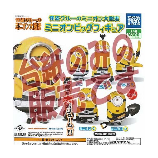 y񔄕ifBXvC䎆zO[̃~jIE ~jI rbOtBMAg ^Jg~[A[c K`| K`K` KV|