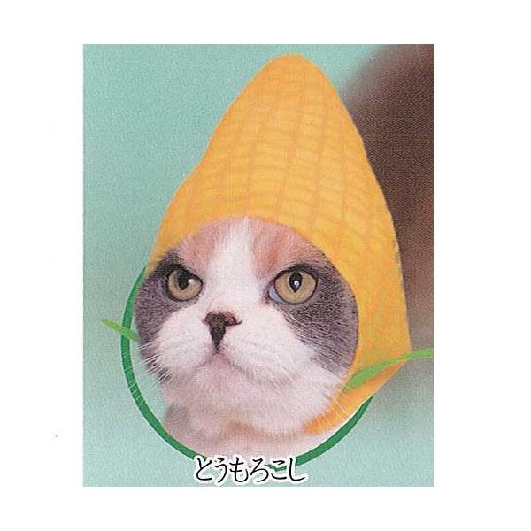 킢킢 ˂؂ ˂̂Ԃ 17e 1FƂ낱 权Nu K`| K`K` KV|