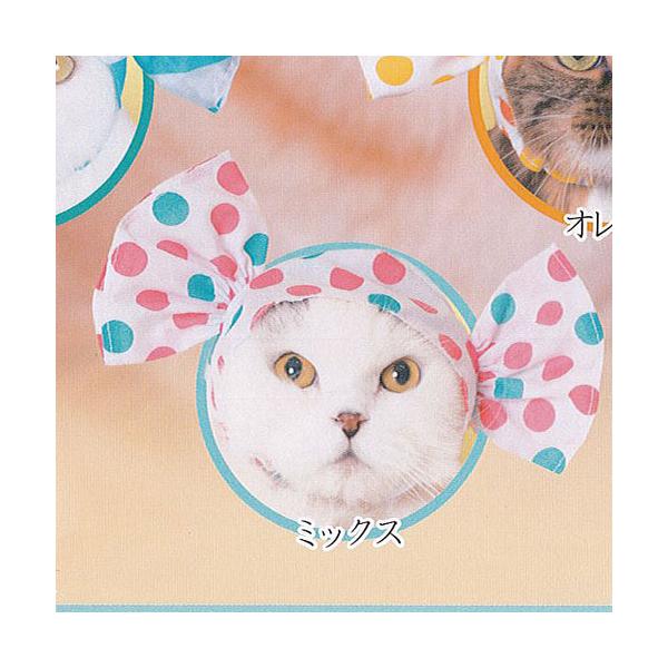 かわいいかわいい ねこキャンディちゃん 2 ミックス 奇譚クラブ ガチャポン ガチャガチャ ガシャポン Dejapan Bid And Buy Japan With 0 Commission