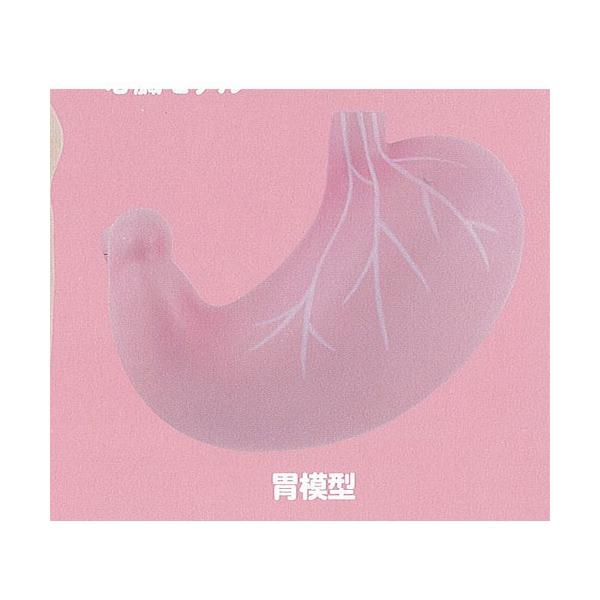 TCGXeNjJ[ ՂɂՂ l̖͌^ {[`F[ }XRbg 3Fݖ͌^  K`| K`K` KV|