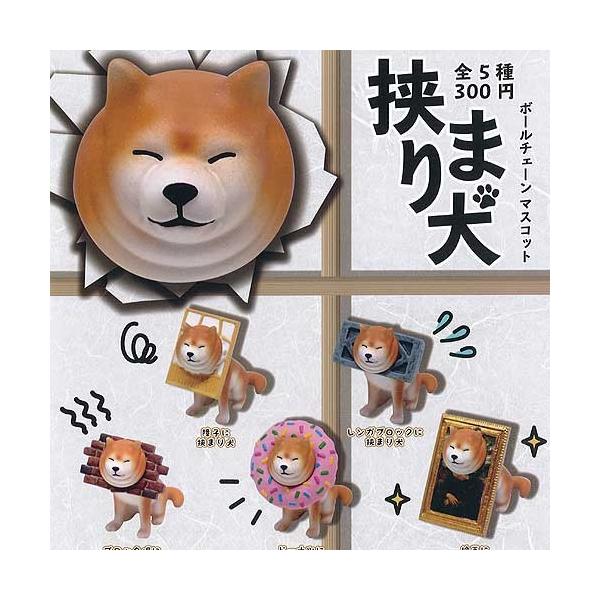 挟まり犬 ボールチェーン マスコット 全5種 ディスプレイ台紙セット クオリア ガチャポン ガチャガチャ ガシャポン G1810s02t 遊you 通販 Yahoo ショッピング