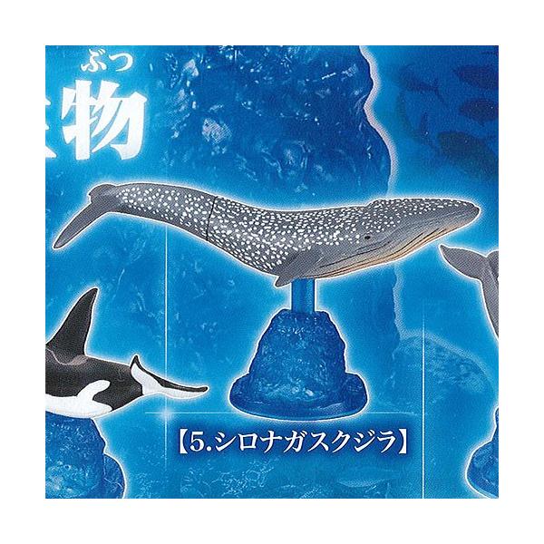 N}O  Cm 5FViKXNW G|bN K`| K`K` KV|