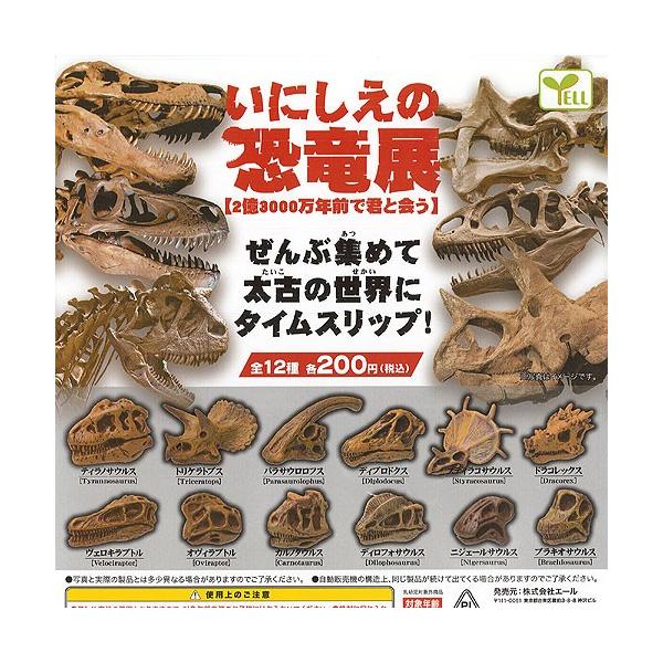 ɂ̋W 23000NOŌNƉ S12Zbg G[ K`| K`K` KV|