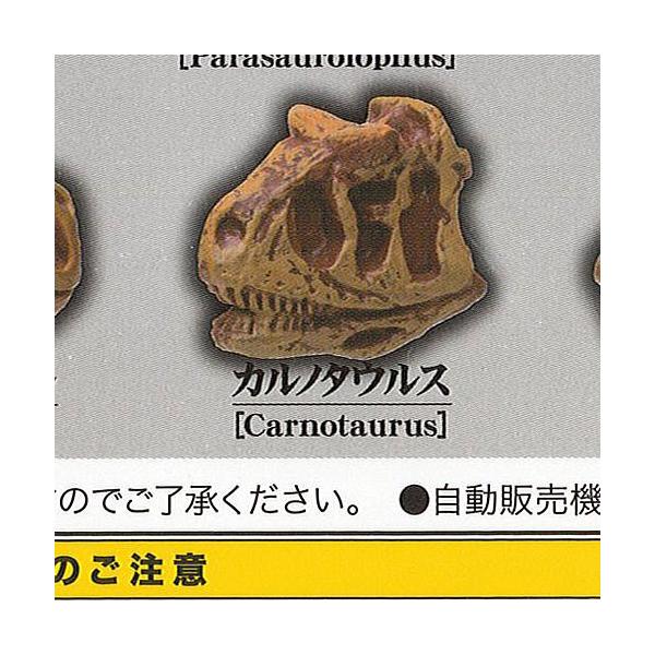 ɂ̋W 23000NOŌNƉ 9FJm^EX G[ K`| K`K` KV|