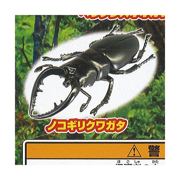 ̐X G ҏP XYo` Rc 3FmRMNK^ ^Jg~[A[c K`| K`K` KV|