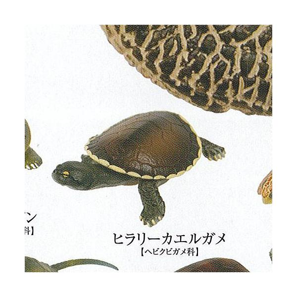 カメ ガチャガチャの人気商品 通販 価格比較 価格 Com