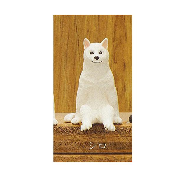 座る犬 5：シロ 奇譚クラブ ガチャポン ガチャガチャ ガシャポン : 遊