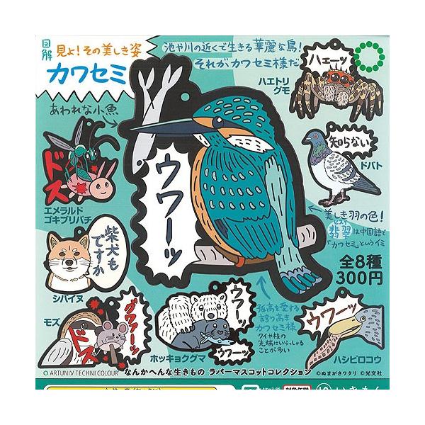 A[gjueNjJ[ Ȃ ւȐ o[}XRbg RNV S8Zbg  K`| K`K` KV|