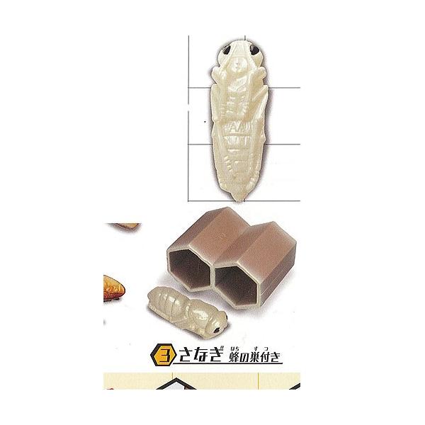 スズメバチ 3：さなぎ 蜂の巣付き エポック社 ミニチュア ガチャポン ガチャガチャ ガシャポン