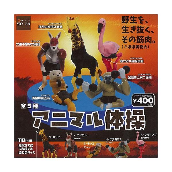 Aj} ̑ S5+fBXvC䎆Zbg SO-TA tBMA K`| K`K` KV|