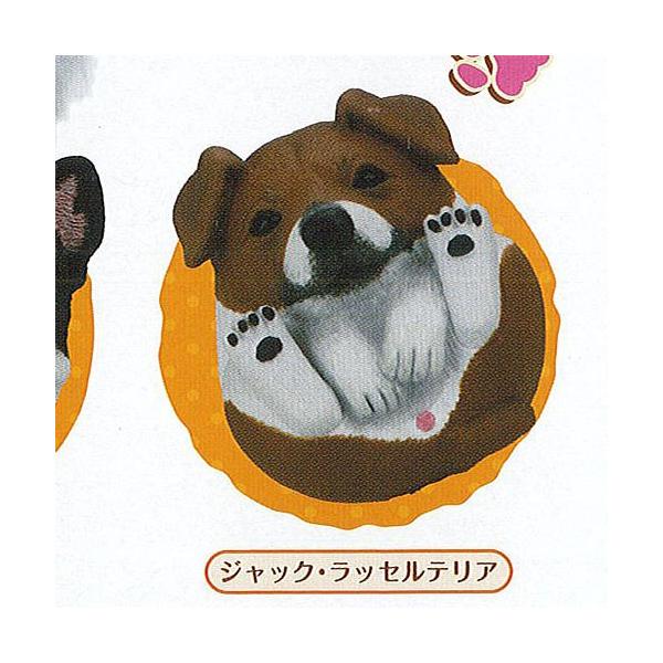 ܂܂ǂԂ ܂܂邢 lCҕ 5FWbNEbZeA ^Jg~[A[c K`| K`K` KV|