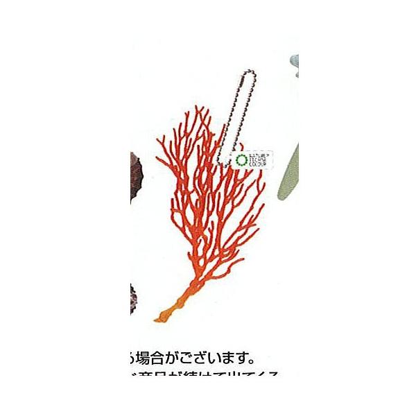 lC`[eNjJ[ MONO PLUS ׂ݂̂ }Olbg{[`F[ 2 8FC\oi()  K`| K`K` KV|