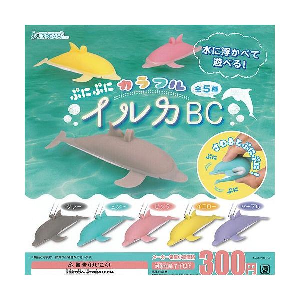 ՂɂՂ Jt CJ BC S5Zbg J.DREAM K`| K`K` KV|