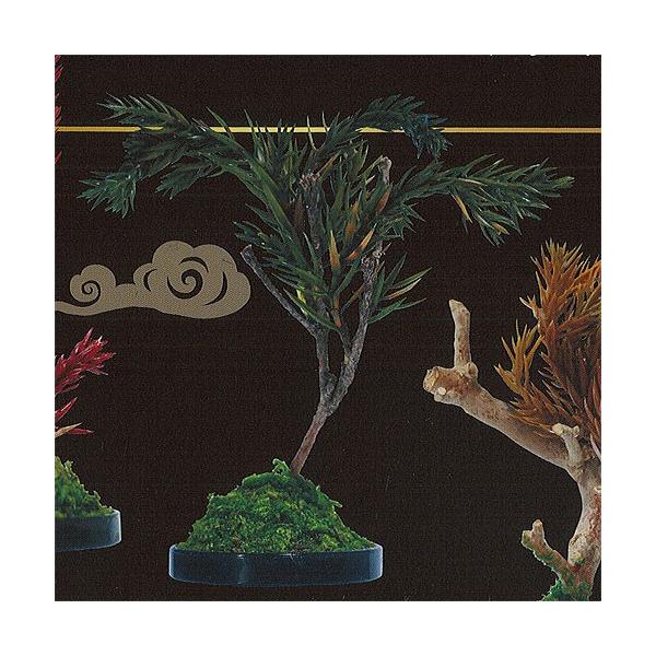 自分で創り上げる Diy 盆栽キット ガチャ盆 Dry Bonsai ドライ盆栽 3 盆栽c ビーム ガチャポン ガチャガチャ ガシャポン Gat03 遊you 通販 Yahoo ショッピング