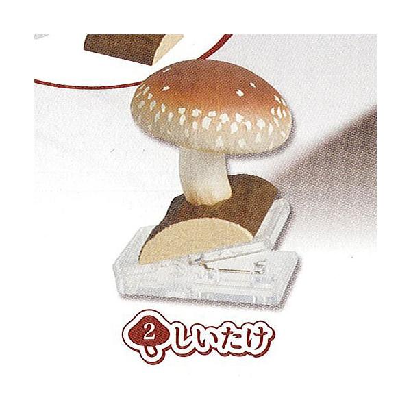 ̂ Nbv 2F G|bN ~j`A K`| K`K` KV|