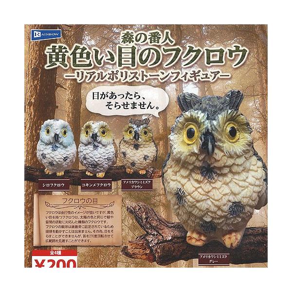 X̔Ԑl Fڂ tNE A |Xg[ tBMA S4Zbg C{[ K`| K`K` KV|