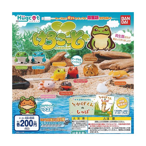 安いバジェットガエルの通販商品を比較 ショッピング情報のオークファン