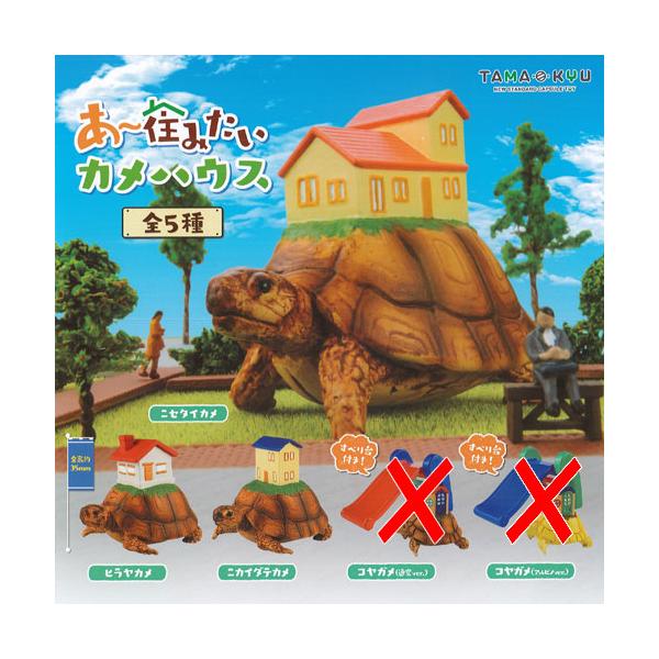 TAMA-KYU [Z݂ J nEX / 3Zbg uV[h K`| K`K` KV|