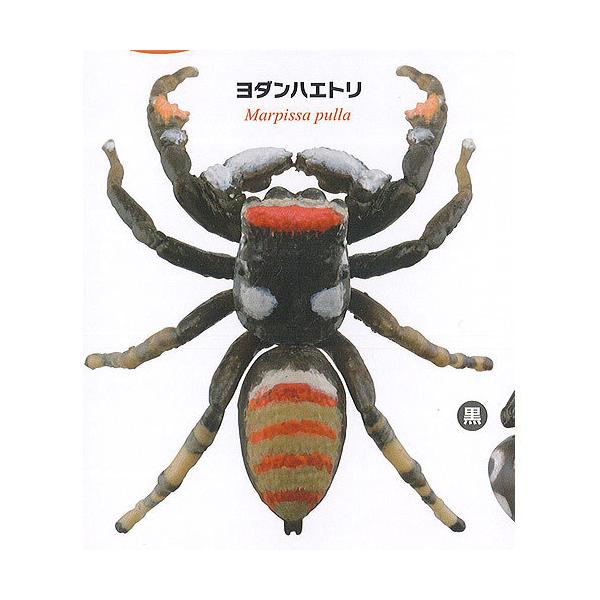 JvZQ ~[WA { w Xgbv RNV NR 3F_nGg Cm K`| K`K` KV|