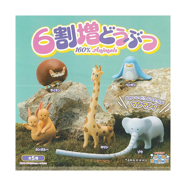 TAMA-KYU 6 ǂԂ S5+fBXvC䎆Zbg uV[h K`| K`K` KV|