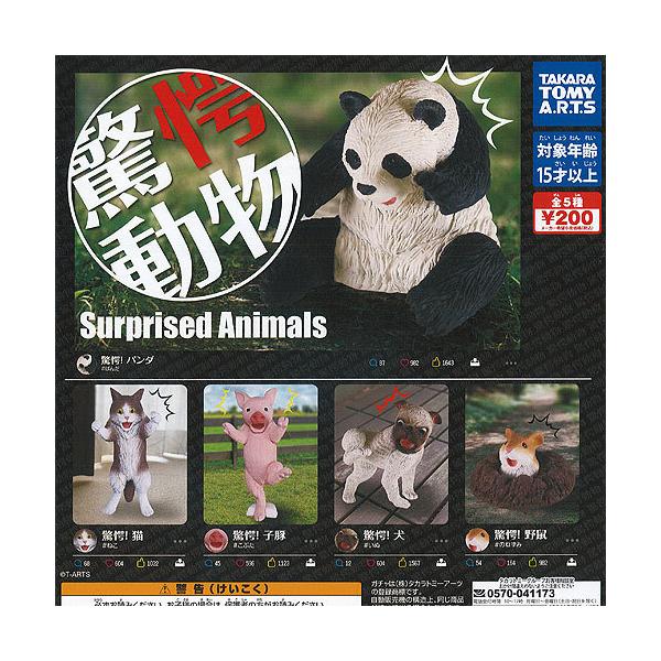 ガチャガチャ 動物の人気商品 通販 価格比較 価格 Com