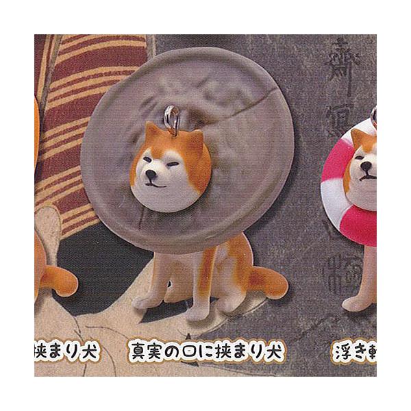 ܂  3 }XRbg {[`F[ 3F^̌ɋ܂茢 Qualia K`| K`K` KV|