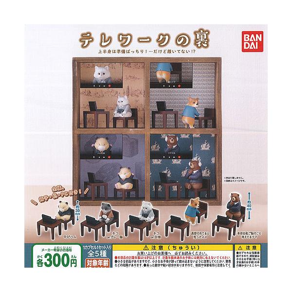 BANDAI テレワークの 裏 全5種+ディスプレイ台紙セット バンダイ