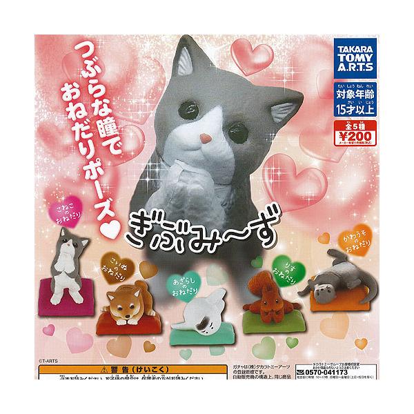 Ԃ݁[ S5Zbg ^Jg~[A[c  tBMA K`| K`K` KV|