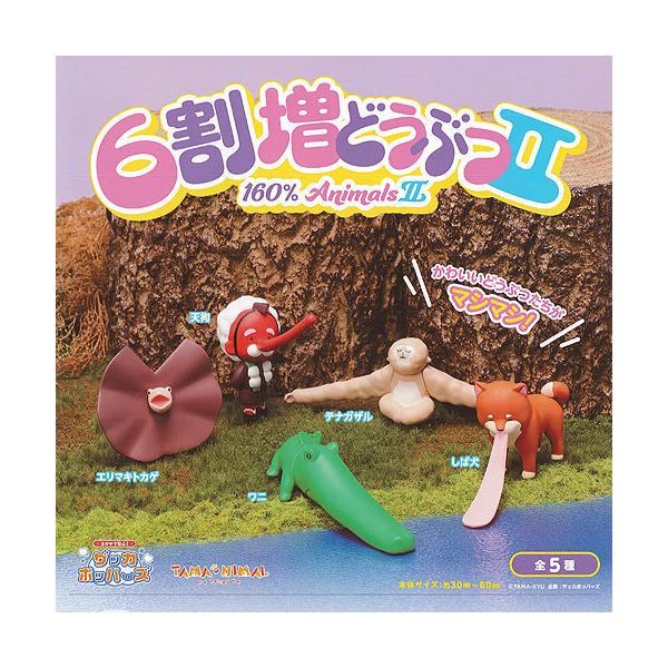 TAMA-NIMAL 6 ǂԂ 2 S5Zbg uV[h K`| K`K` KV|