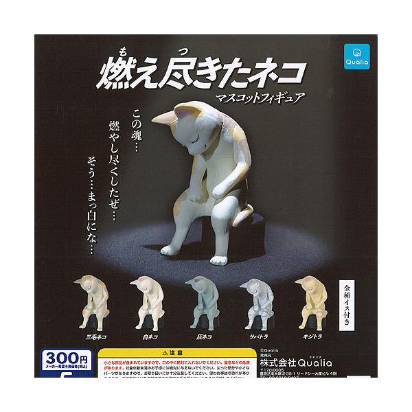 Rs lR }XRbg tBMA S5+fBXvC䎆Zbg Qualia K`| K`K` KV|