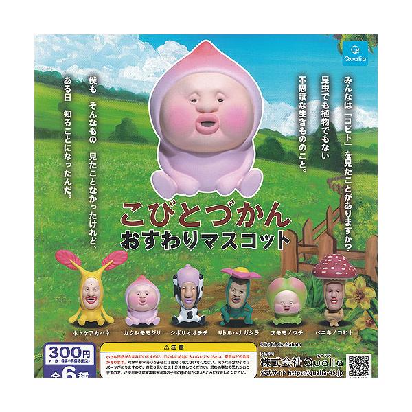 予約販売 こびとづかん全カード揃ってます Tech Muhoko Org