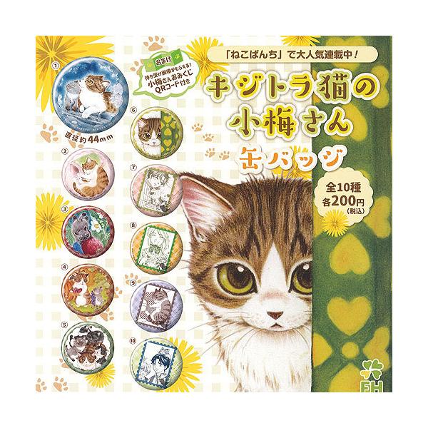 キジトラ猫の小梅さん 缶バッジ 全10種セット エフドットハート ガチャポン ガチャガチャ ガシャポン Gs01 遊you 通販 Yahoo ショッピング
