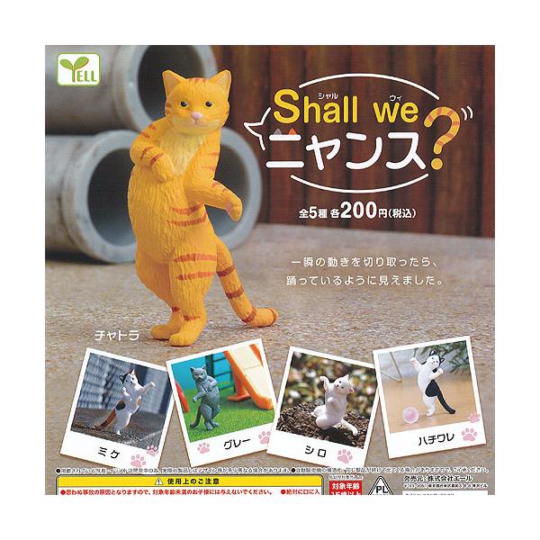 shall we jX S5+fBXvC䎆Zbg G[ K`| K`K` KV|