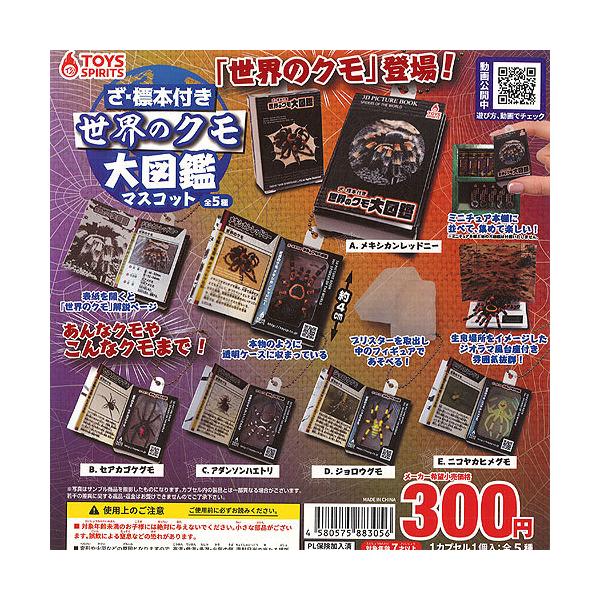  W{t ẼN } }XRbg S5Zbg gCYXsbc K`| K`K` KV|