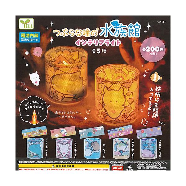 Ԃȓ̐ CeA Cg S5Zbg G[ K`| K`K` KV|