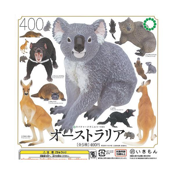 lC`[ eNjJ[ 400 I[XgA S5+fBXvC䎆Zbg  K`| K`K` KV|