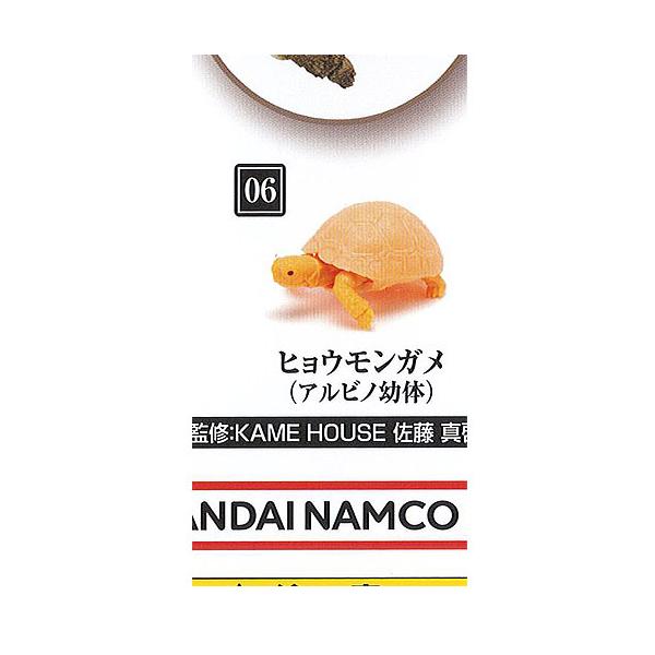 BANDAI（バンダイ） いきもの大図鑑 かめ 06 6：ヒョウモンガメ